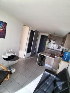 Departamento Parque O'Higgins - 7