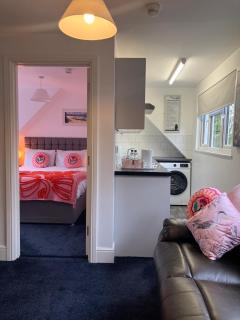 The Raven Pub with Rooms, Worcester - 4