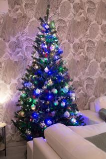 Arctic villa near Santa Park - 6