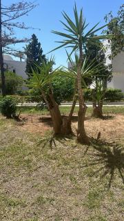 Our Modern Studio in Marina Port El Kantaoui - 1