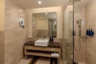 Radisson Blu Hotel, Greater Noida - Greater Noida - 4