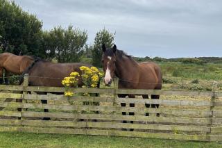 Chalet Sleeps 4 Near Cymyran Beach - 4