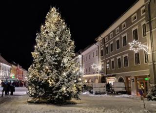 Pension Sonnenheim - 4