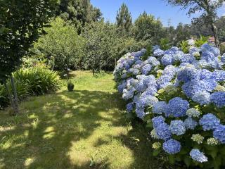 Quinta de Melquíades - 2