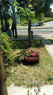 Monoambiente Tradicional - 9