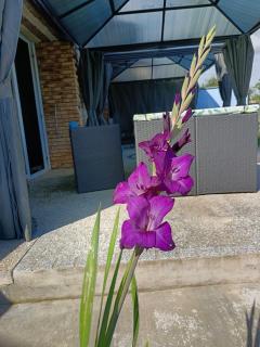 Chambres d'hôtes piscine couverte & chauffée - 6