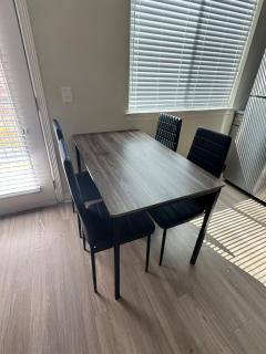 Lovely Apartment in Austin shopping Dining - 6