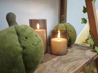 Turnpike lane Flat - Stylish and Bright Flat in North London N8 - Piccadilly line - 5