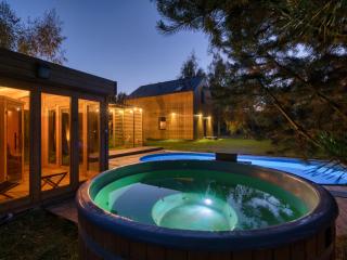 Dom przy lesie - Wielgie - 5