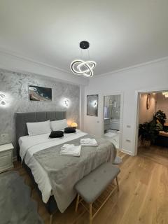 Arinis Best Bucovina Apartament - 9