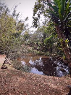 A casa da Floresta - 7