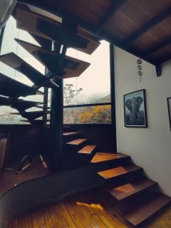 A casa da Floresta - 5