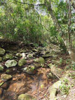 A casa da Floresta - 3