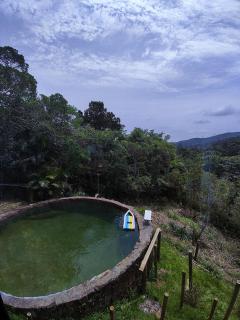 A casa da Floresta - 0