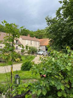 Le petit jardin du Coudray - 5
