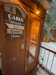 Nisqually Nest at Mount Rainier - 1