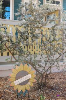 Sunflower Cottage Downtown - 5