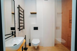 Althea Ustrzyki Apartmants - 6