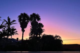 Light-Filled Stay Steps from Ponsonby w Parking - 5