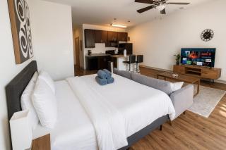 Velvet King Studio Urban Escape A15 - 7