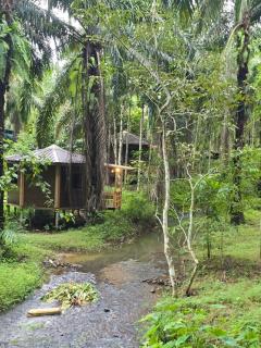 Khao Sok Silver Cliff Resort - 6