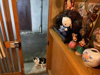 AnNam Stay AJISAI - 8