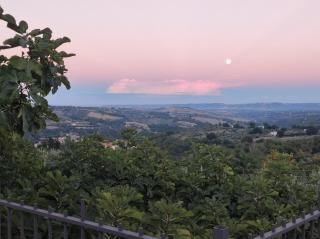 Nonno Pierino affittacamere - 9