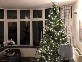 Clamoak Cottage - 3