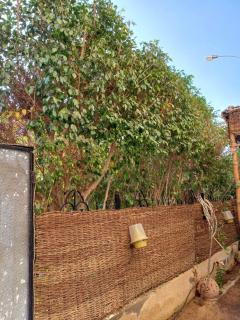 Apartment in Sheikh Zayed - 1