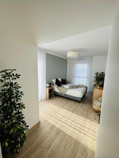 Reflets de Seine - 6