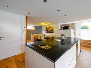 Alpin Chalet ARTE - 1