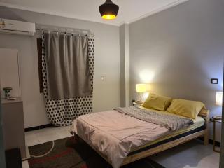 Delight Sunroof apartment beside Airport & Rehab - 1