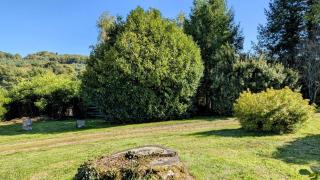 Maison du cedre - Bonnac-la-Côte - 8