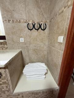 Country house in Golan - 7