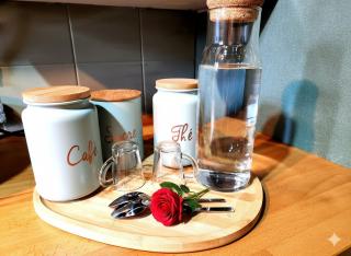 Jungle Chic à Noyon, Hauts-de-France - 5