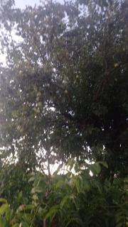 Agriturismo i Due Mori - 1