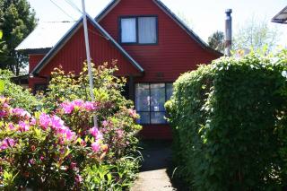 Pucón Forest Wellness - 0