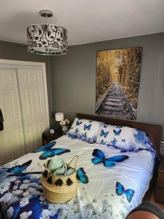 Le Robin des bois - 0