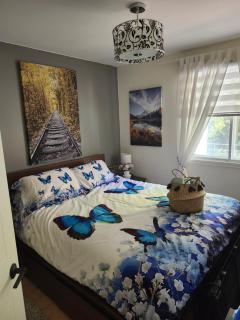 Le Robin des bois - 2