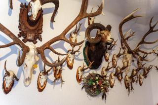 Jägerstube Preinfalk - 2