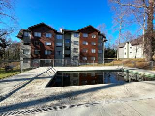 Bosque Volcánico - 5