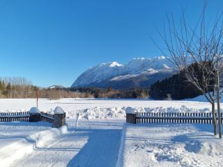 Ferienhaus DaPfusterer - 2