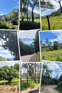 Casa Las Palmeras - 1