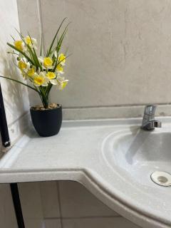 Apartamento completo e central! Casa Caju! - 1