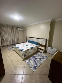 4 شارع الدكتور لاشين المريوطية فيصل - 1