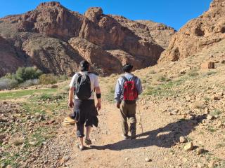 Dar Laayoune - 7