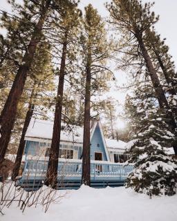 Hidden Pines Cabin - Nearby Snow & Play - 9