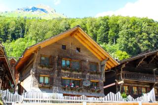 Mys Chalet - Authentique & rénové - 0