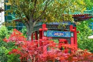 Sofitel Xi'an On Renmin Square - 8