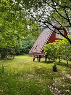 De Boomklever, vrijstaand en midden in het bos aan de heide! - 7